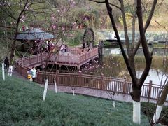 -重庆彩云湖湿地公园