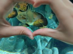 -福州罗源湾海洋世界旅游区