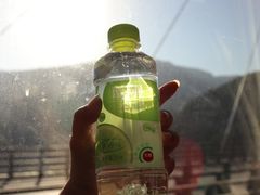 -果子沟大桥