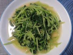 -天鹅到家·保姆月嫂育儿嫂(蔚蓝海岸店)
