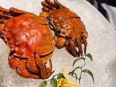 -蟹榭·本帮江浙菜·蟹宴(五角场合生汇商场店)