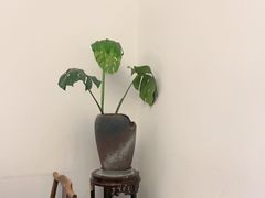 -花家怡园(四合院总店)