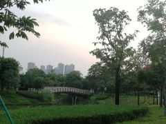 -王借岗森林公园
