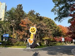-青枫公园