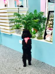 -斐尔国际皮肤管理中心