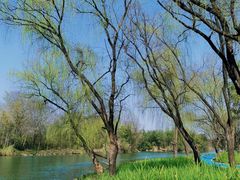 -西溪国家湿地公园