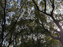 -华东政法大学(松江校区)