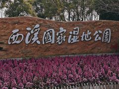 -西溪国家湿地公园