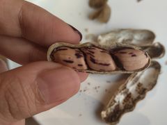 五彩花生-新荣记(新源南路店)