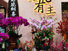 -溪岸路花鸟市场
