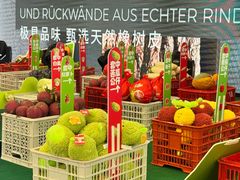 -红星美凯龙北京至尊MALL(东四环中路店)