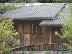 -南山植物园