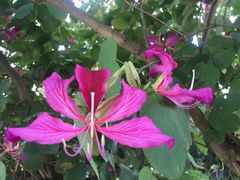 -龙环葡韵住宅式博物馆