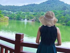 -广州白江湖森林公园