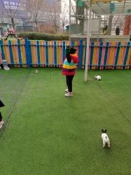 -萌宠亲子动物乐园(槐房万达店)