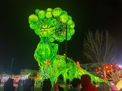 -淄博花灯齐彩城