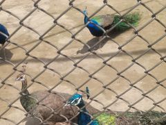 -森林公园(尖草坪区)