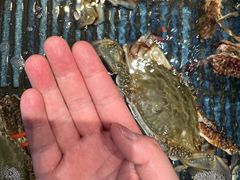 -小厨师·二十年沈家门小海鲜(百井坊巷店)
