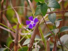 -贵阳市花溪国家城市湿地公园