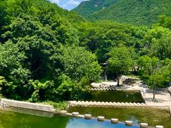 -龙道沟景区