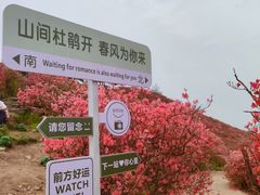 -木兰云雾山