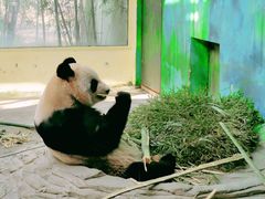 -杭州野生动物世界