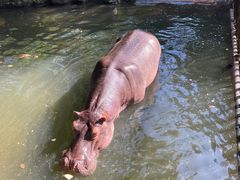 -海南热带野生动植物园