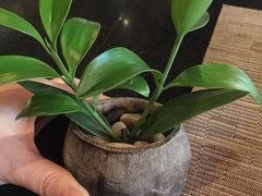 -羡餐厅·杭帮菜·淳菜(千岛湖自由洲际殿店)
