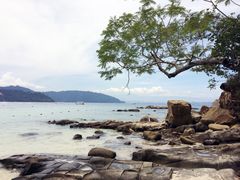-东姑阿都拉曼海洋公园
