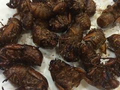 害虫系列-买又大餐厅(福林里店)