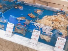 水产区-宝轩渔府·老字号海鲜·正宗津菜(水上店)