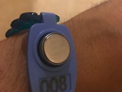 -翡翠湖迎宾馆·游泳馆