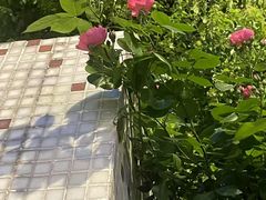 -黄浦路(地铁站)