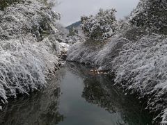 -白马涧龙池景区