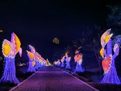 -山西乌金山旅游区