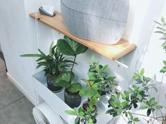 -Onirii Coffee(长乐路店)