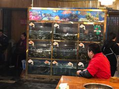 大堂-三道苗苗鱼·美蛙黄辣丁(八里店)