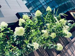 -花与咖啡馆(金星楼店)