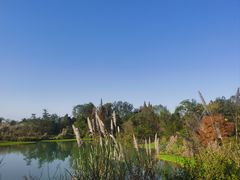 -桤木河湿地公园