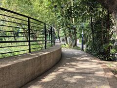 -九龙公园