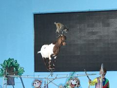 -武汉紫薇都市田园