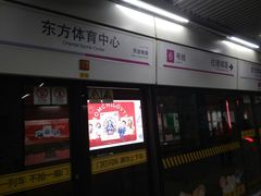 -东方体育中心(地铁站)
