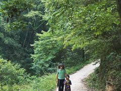 -素山寺森林公园