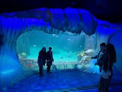 -悉尼海洋生物水族馆