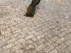 -洛阳马蹄泉旅游度假村