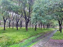 -嘉北郊野公园
