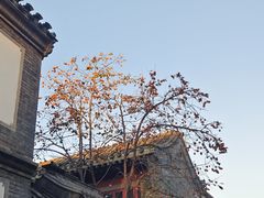 -北京市劳动人民文化宫(太庙)