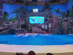 -珠海长隆海洋王国