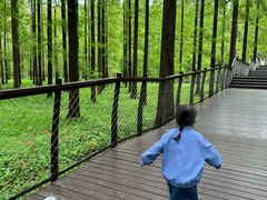 -黄海国家森林公园