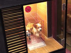 -MOLLY'S萌宠生活馆
